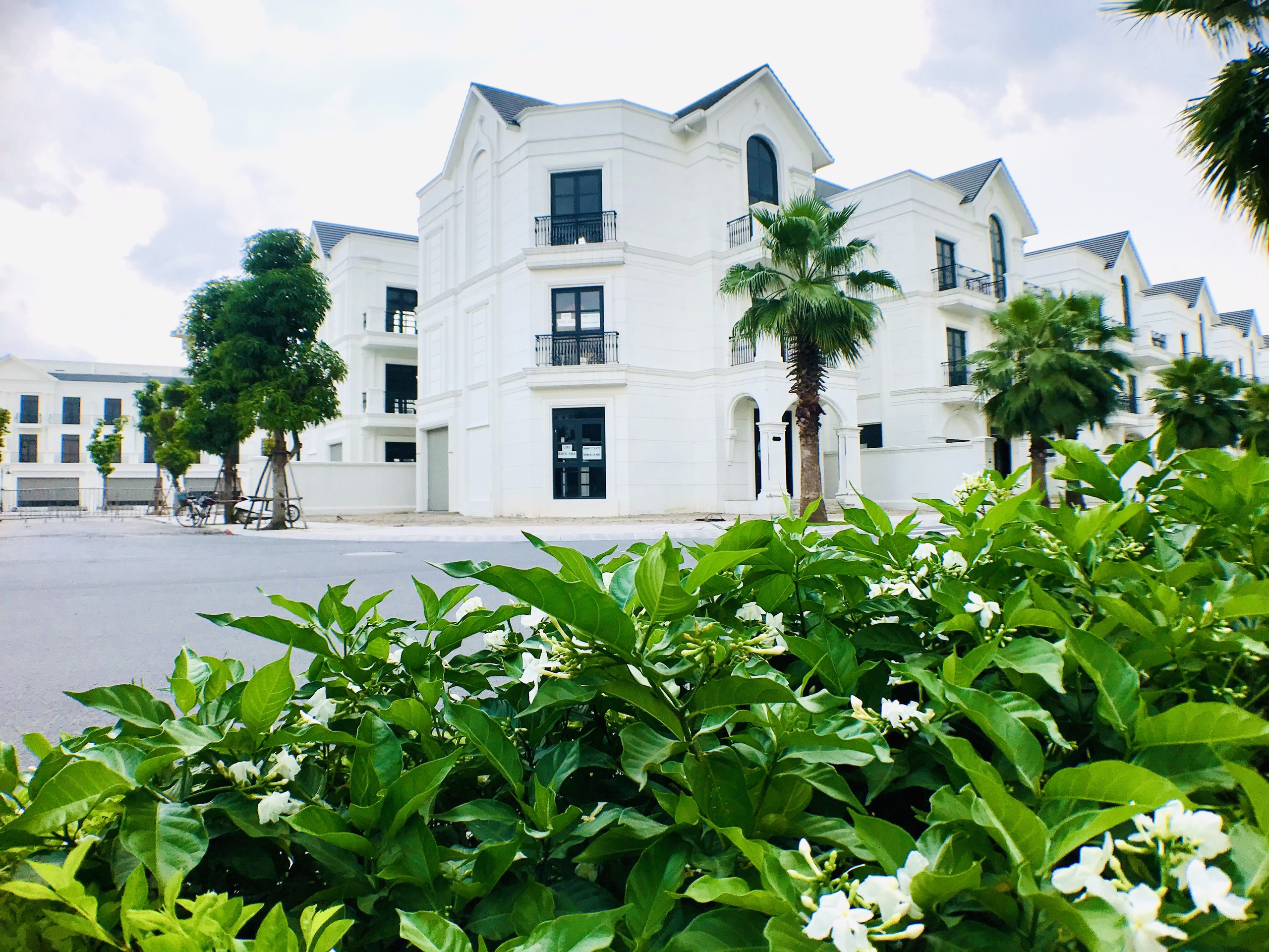 Bán lô ngoại giao biệt thự đơn lập VIP nhất độc nhất Ngọc Trai 01 mặt biển Vinhomes Ocean Park.